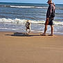 dog, man, beach, sand, ocean, waves, leash, barefoot, sunny, sky, water, pet, running, casual_clothing, cap, outdoor, shoreline, happy, animal, vacation