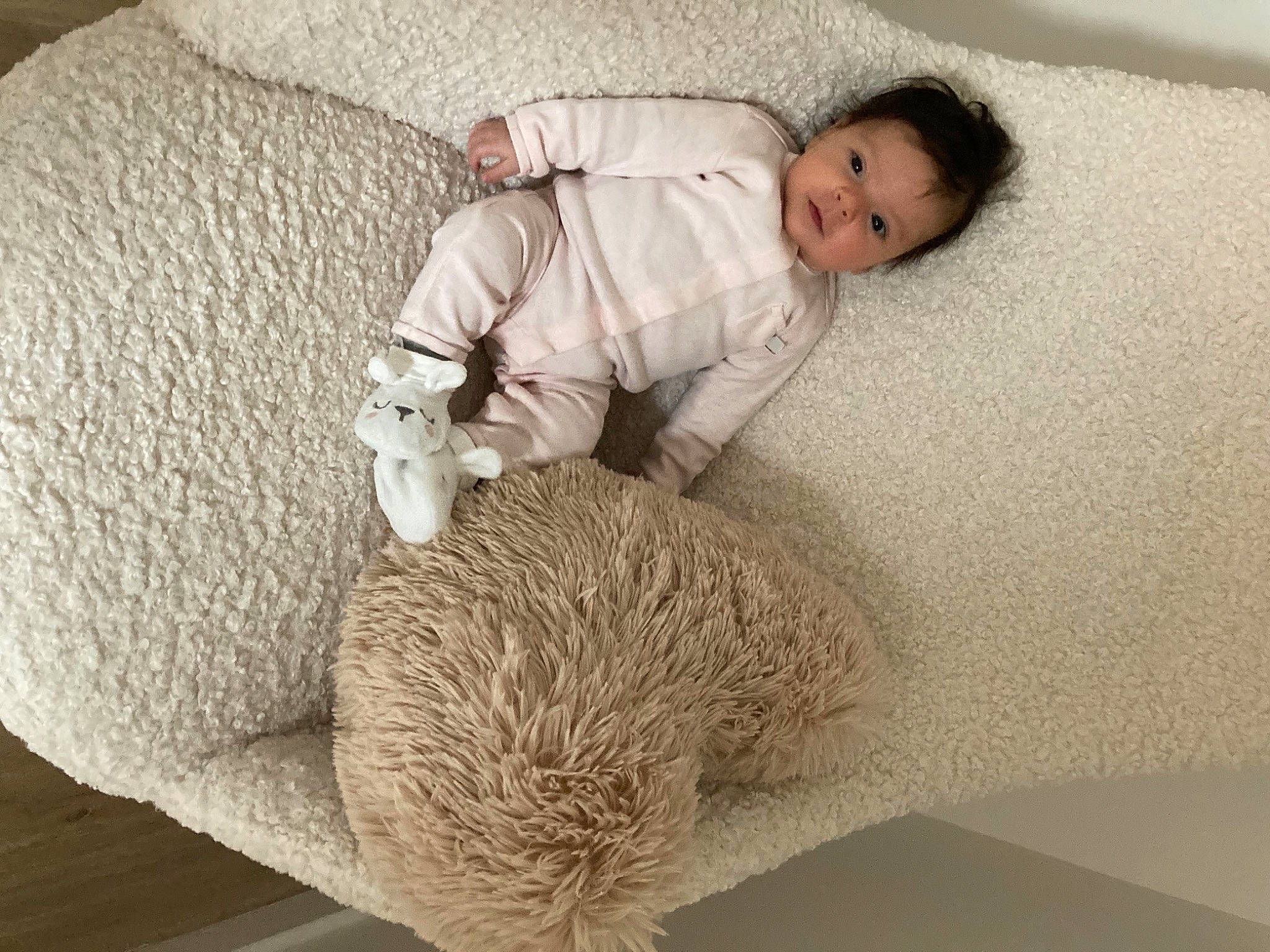 Jade participe au concours pour gagner de l'argent avec cette photo : baby, baby_sleeping, bedding, comfort, erinaceidae, fawn, flooring, fur, hardwood, linens, mammal, person, room, skin, stuffed_toy, textile, toddler, toy, vertebrate, wood