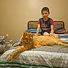 cat, orange_cat, child, bedroom, bed, blanket, striped_blanket, sitting, pet, indoor, home, sleeping_area, furniture, person, portrait, relaxed, fluffy, ginger_fur, domestic_animal, cozy