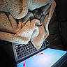 cat, blanket, laptop, keyboard, screen, goldfish, animal, pet, cozy, technology, indoor, soft, warm, fur, computer, relaxing, couch, snuggling, home, cute
