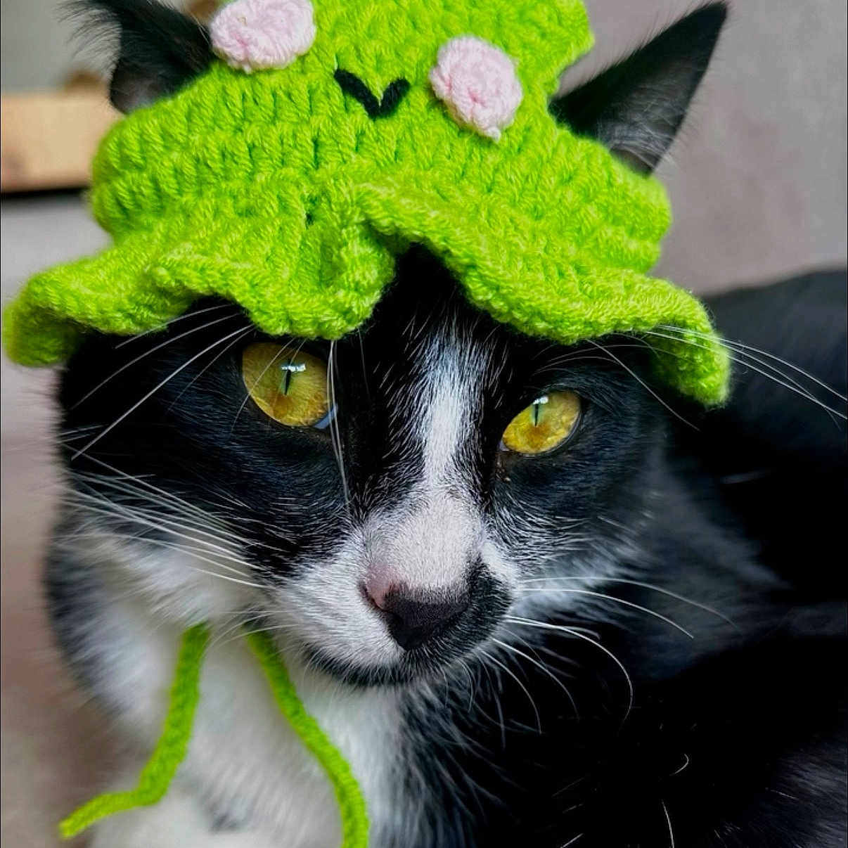 Milo