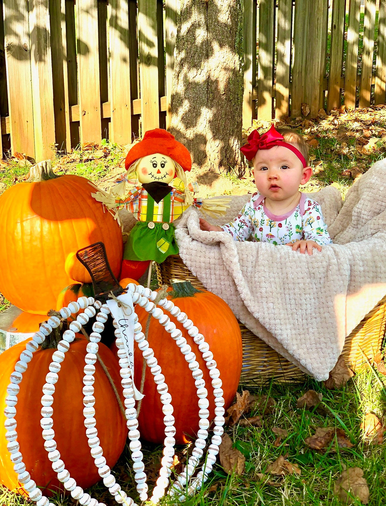 Taylin is registered to the contest to win money with this photo: art, calabaza, chair, cucurbita, event, fence, gourd, grass, headwear, holiday, home_fencing, leaf, natural_foods, person, plant, pumpkin, squash, tradition, tree, vegetable