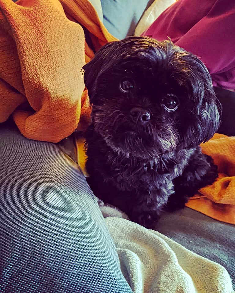 Tina Crumpet