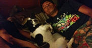Sassy is registered to the contest to win money with this photo: animal, bed, black_and_white_dog, blanket, candid, casual, comfort, companion, dim_lighting, dog, home, indoor, lying_down, man, person, pet, relaxed, resting, sleepy, tshirt