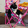 cat, black_and_white, chair, folding_chair, indoor, polka_dots, pink, collar, pet, relaxed, furniture, couch, blanket, domestic_animal, side_view, resting, home, animal, cute, cozy
