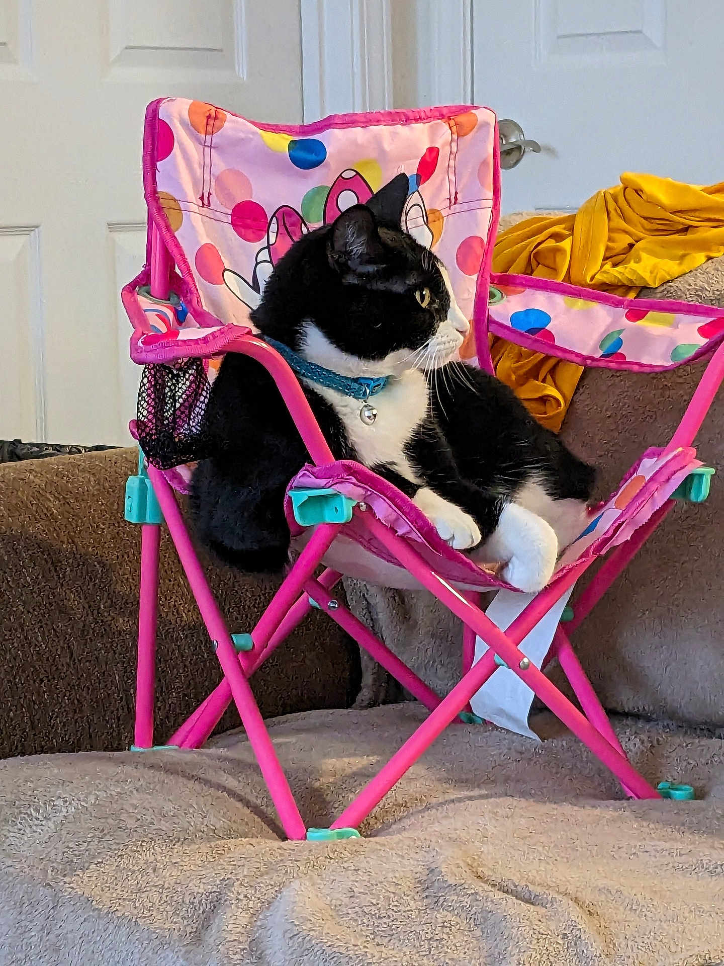 Rascal