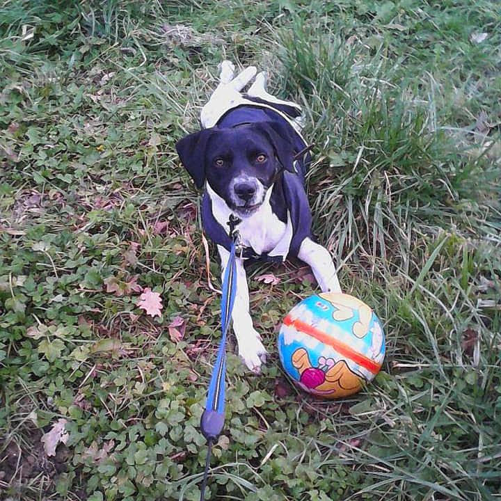 Jax
