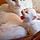Minette