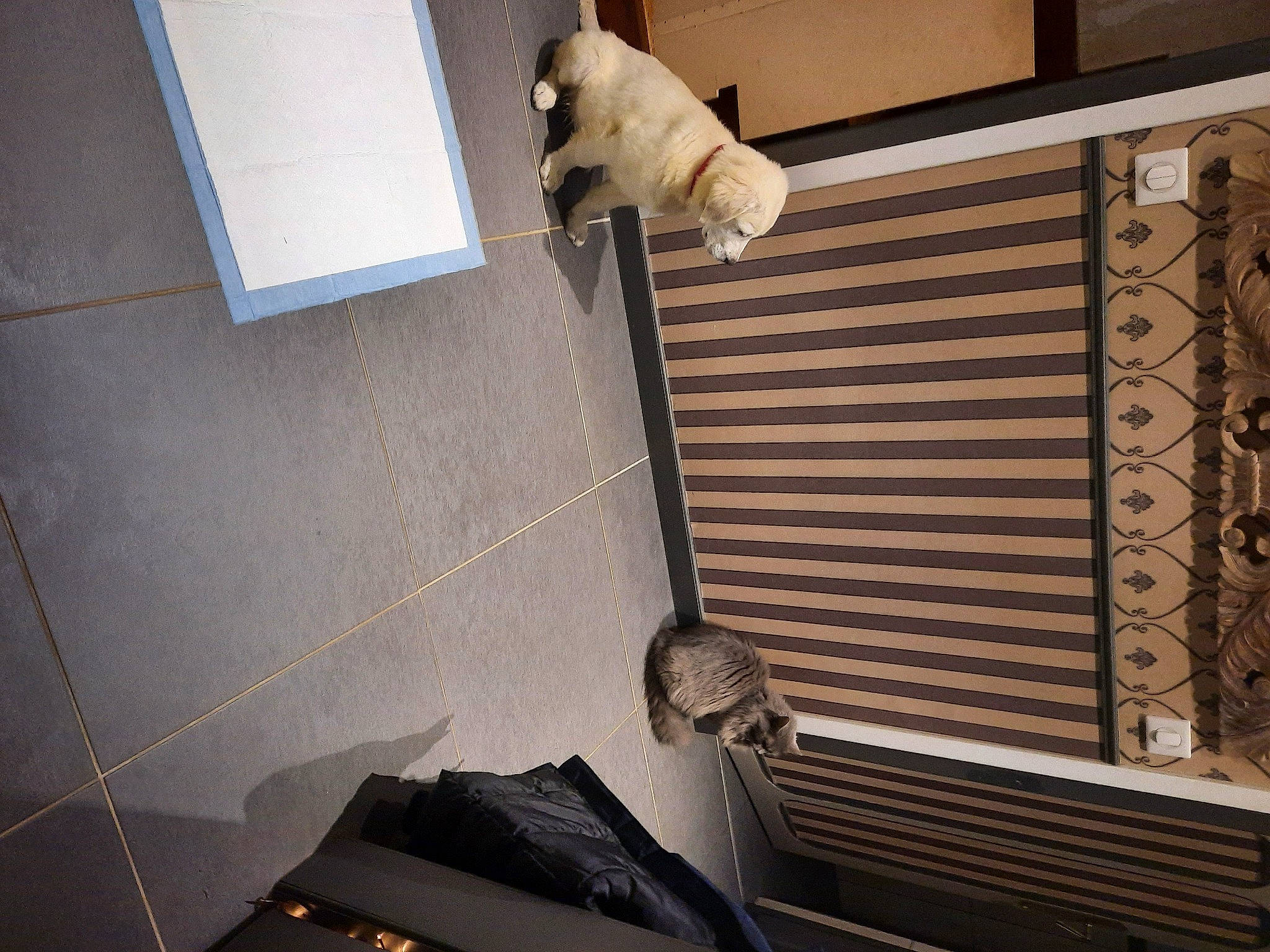 Mona participe au concours pour gagner de l'argent avec cette photo : architecture, ceiling, daylighting, door, floor, flooring, gas, handrail, hardwood, machine, metal, room, stairs, steel, tile, tints_and_shades, wall, window_covering, window_treatment, wood