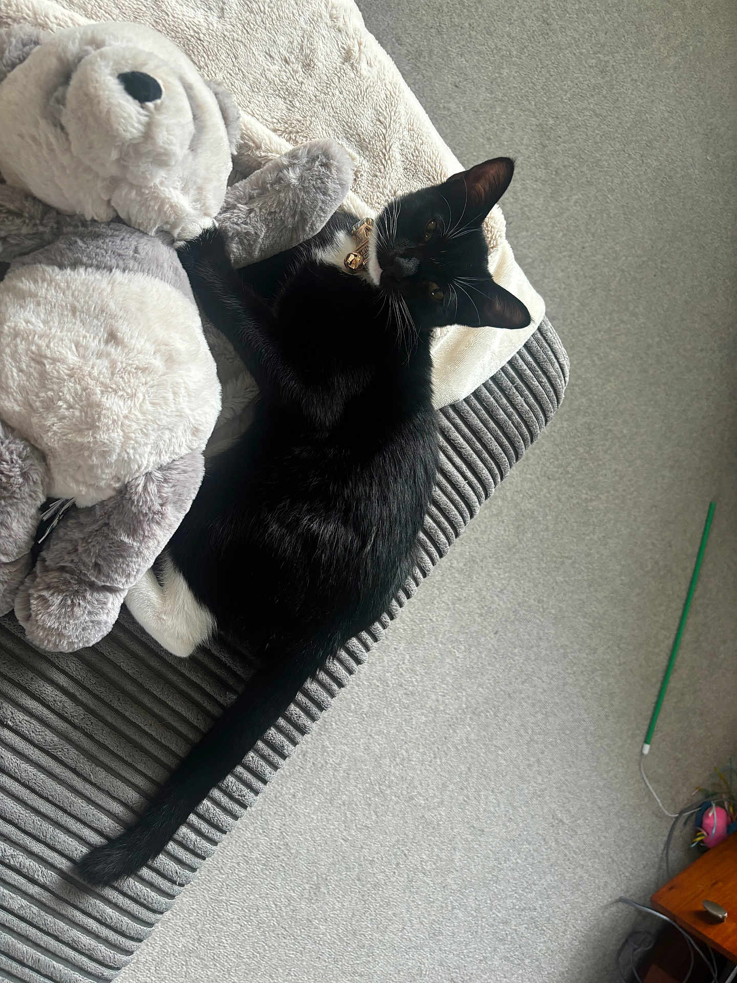 Sox