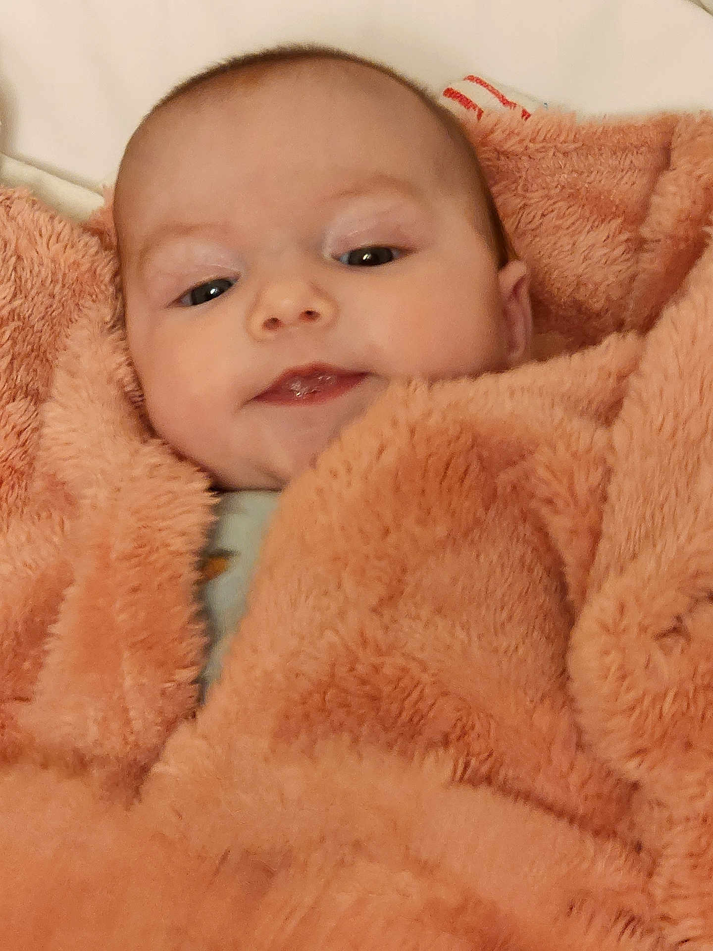 Olivia is registered to the contest to win money with this photo: baby, infant, blanket, face, head, skin, eyes, mouth, expression, soft, warm, cozy, child, person, portrait, newborn, cute, indoor, smile, clothing