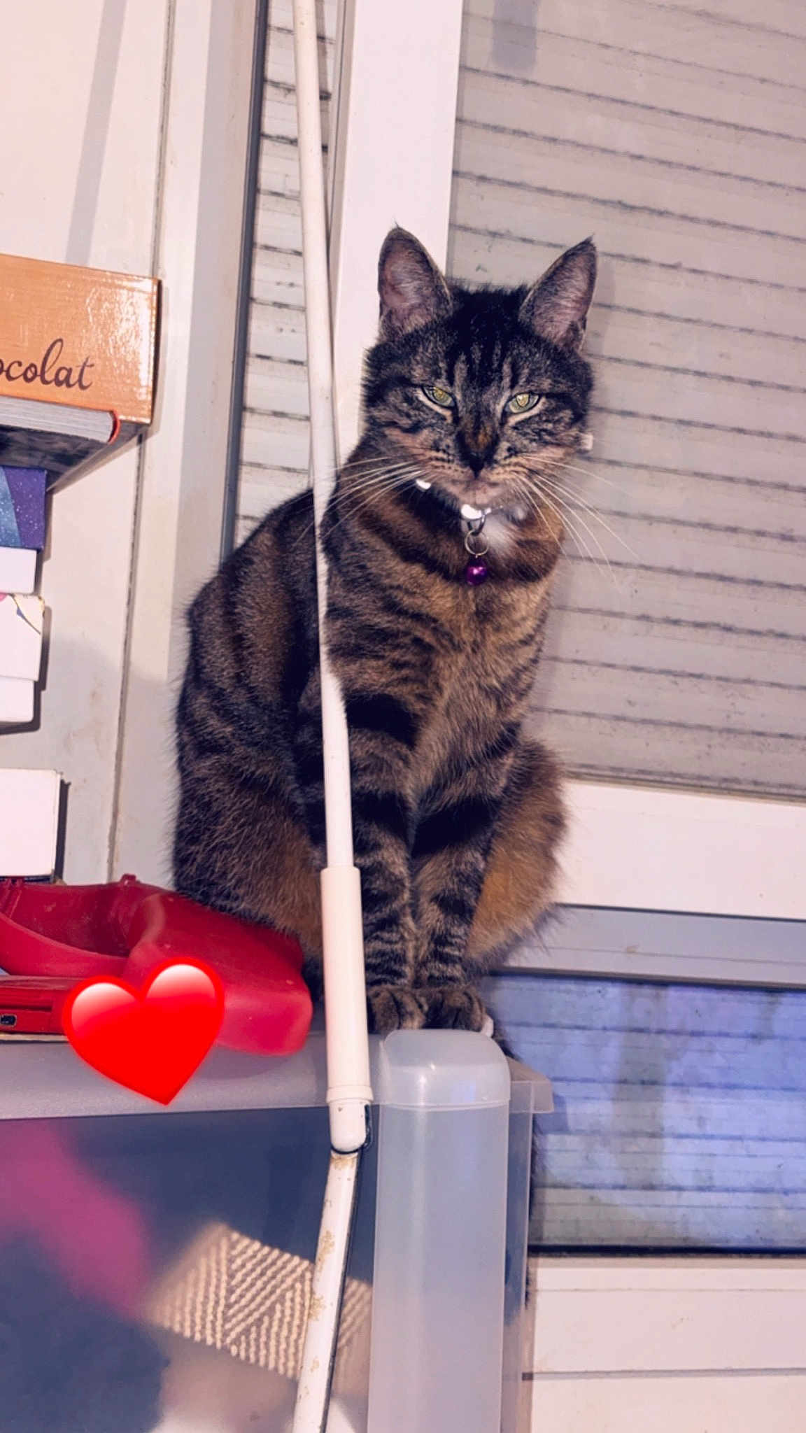 Boubouille