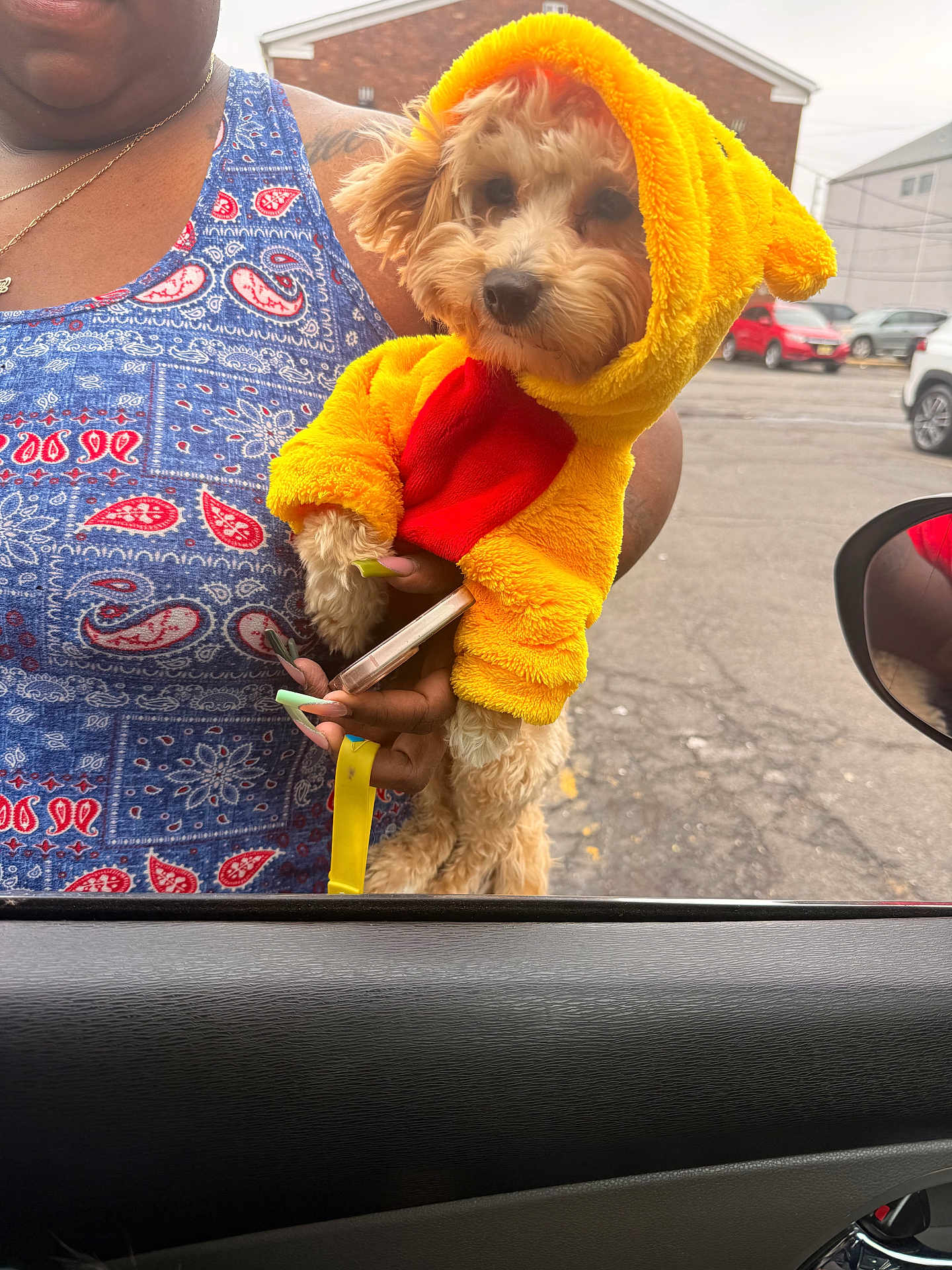 Bentley joined the competition — help win amazing prizes! dog, small_dog, puppy, costume, yellow_costume, hood, person, hand, long_nails, smartphone, parking_lot, car, car_door, side_mirror, pavement, fur, patterned_shirt, necklace, leash, cute
