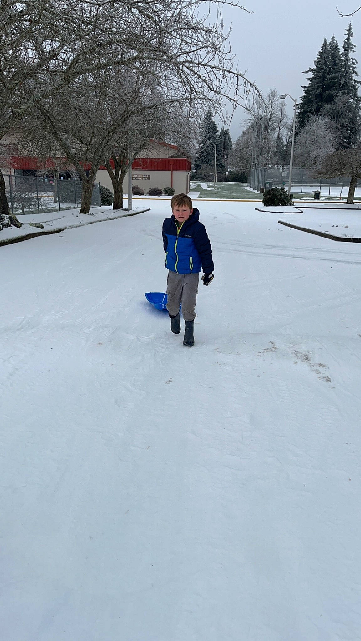Zayden is registered to the contest to win money with this photo: asphalt, city, event, freezing, frost, fun, leisure, pedestrian, person, playing_in_the_snow, precipitation, recreation, sidewalk, sky, slope, snow, street, toddler, tree, winter