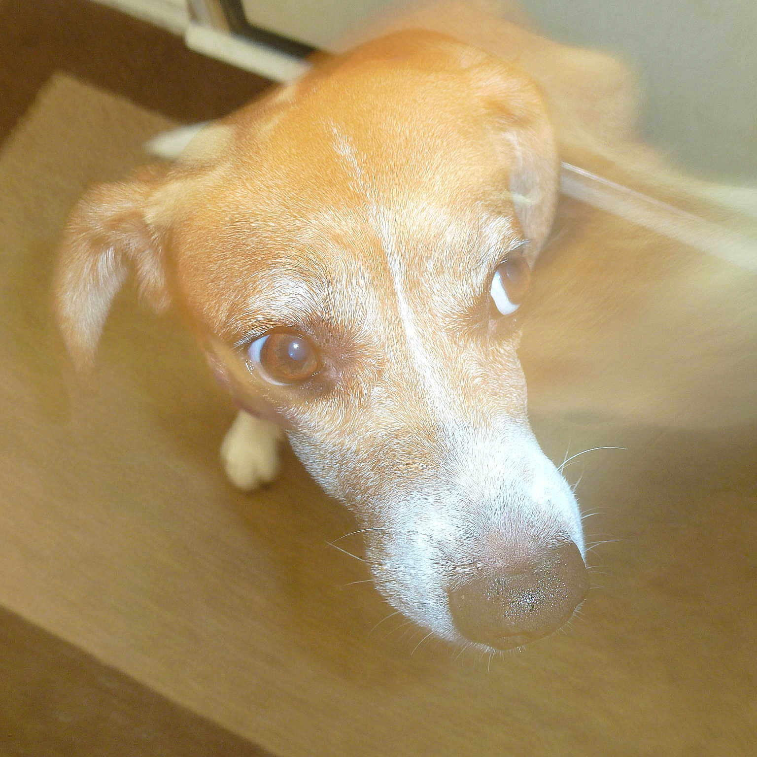 Karen Deboer is registered to the contest to win money with this photo: