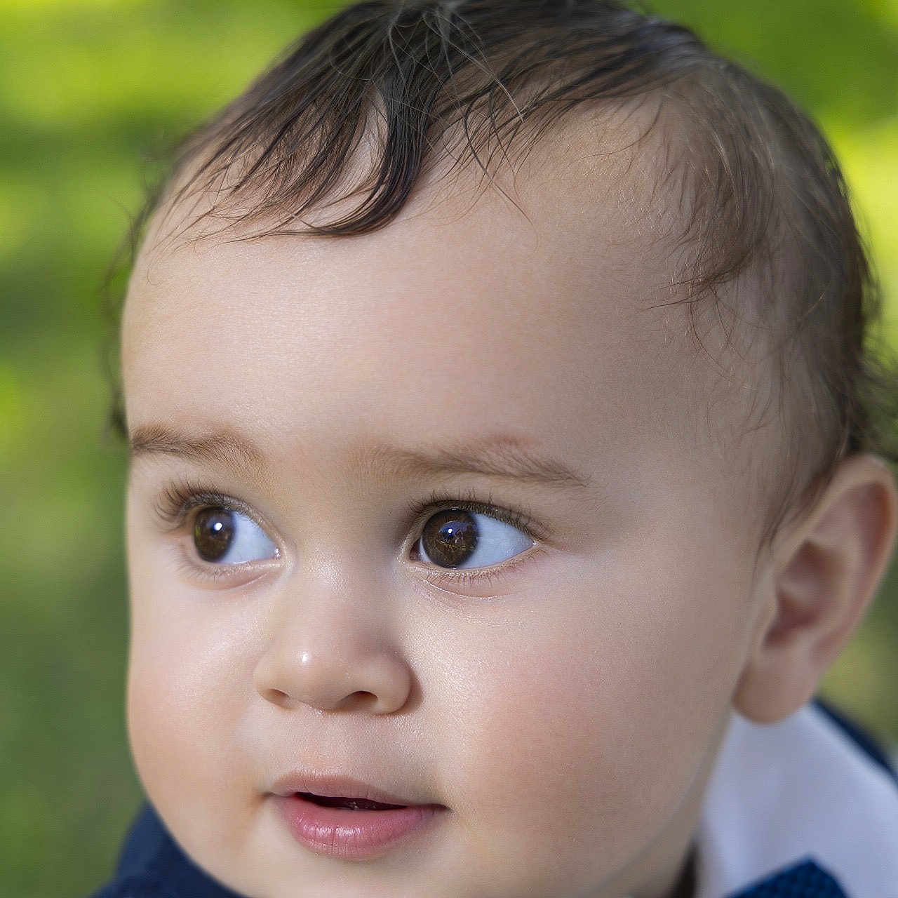 Moisés Iza Tamayo is registered to the contest to win money with this photo: baby, bow_tie, brown_eyes, child, close_up, clothing, curly_hair, cute, expression, face, green_background, headshot, infant, innocent, looking_away, outdoor, person, portrait, skin, young_child
