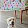 Appy