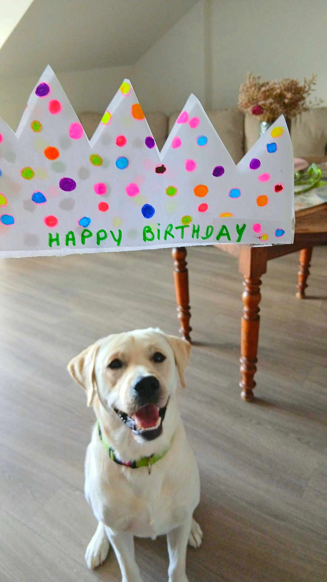 Appy
