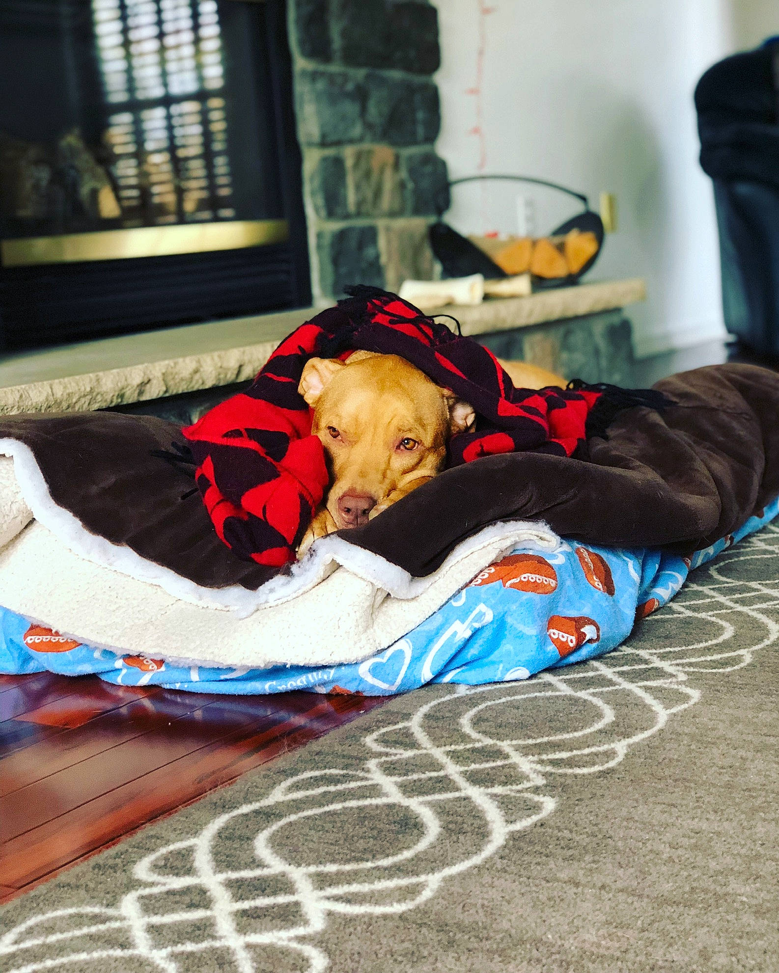 Carmella joined the competition — help win amazing prizes! child, comfort, nap, sleep