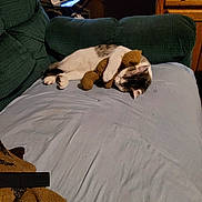 Tiny is registered to the contest to win money with this photo: cartoon, cat, claws, couch, cozy, digital_display, fur, furniture, green_armchair, home, indoor, paws, pet, quiet, relaxing, resting, sleeping, stuffed_toy, whiskers, wooden_cabinet