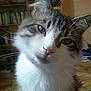 Helyo participe au concours pour gagner de l'argent avec cette photo :