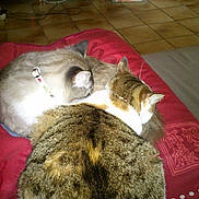 Helyo participe au concours pour gagner de l'argent avec cette photo :