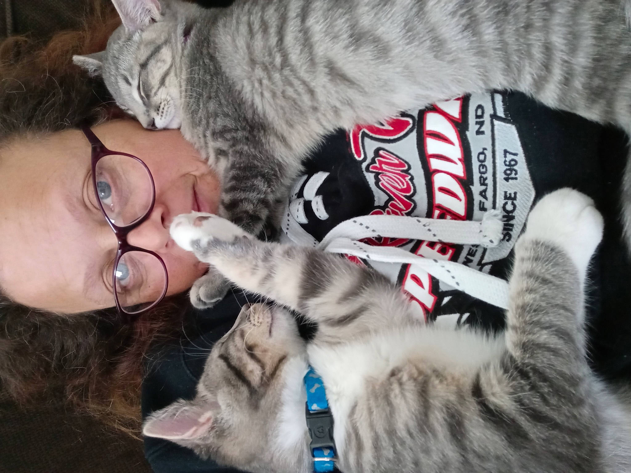 Juliet is registered to the contest to win money with this photo: carnivore, cat, claw, comfort, domestic_short_haired_cat, ear, event, eyewear, felidae, fur, glasses, happy, lap, mammal, nail, paw, small_to_medium_sized_cats, snout, vision_care, whiskers