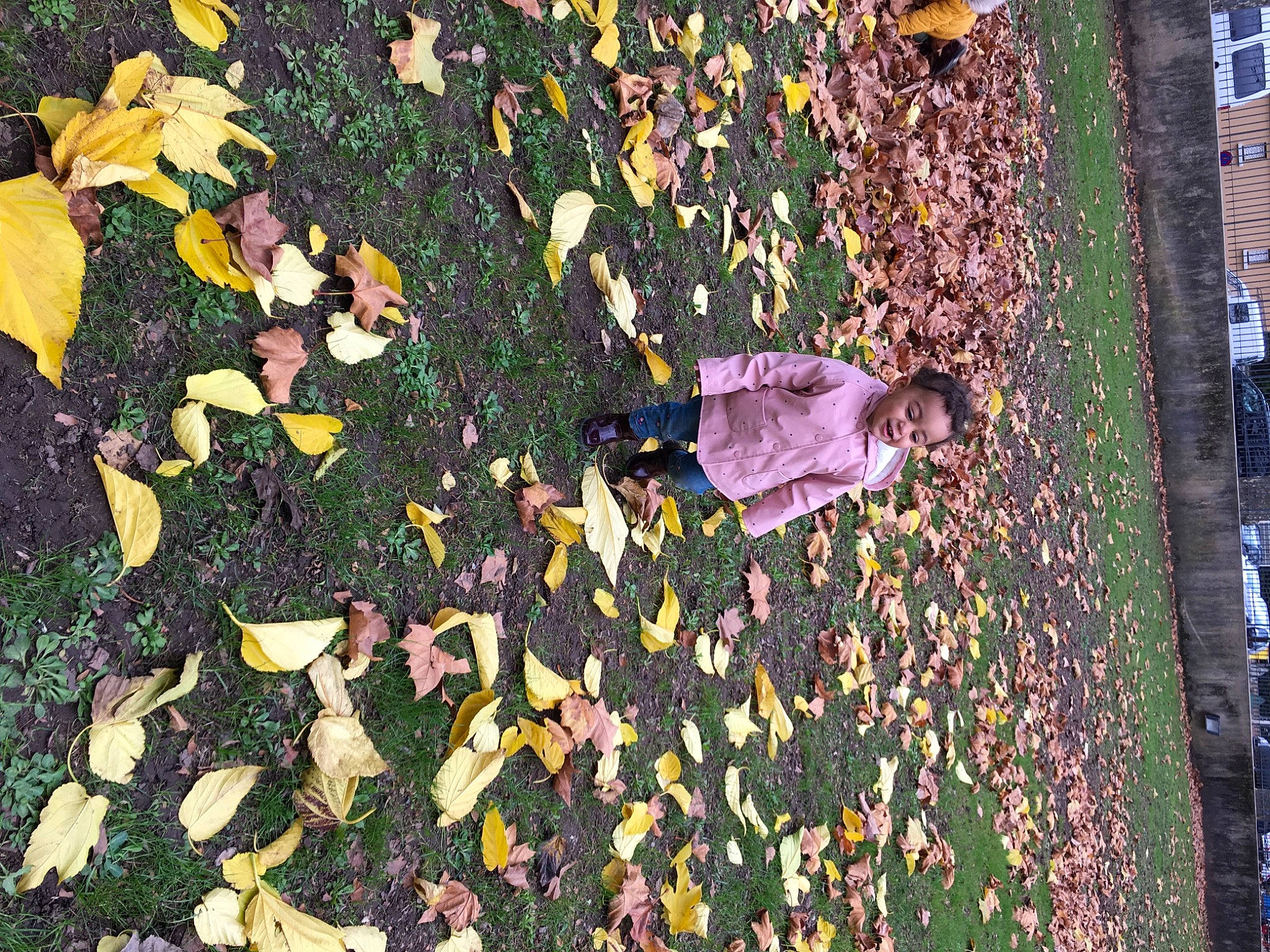 Kenza a rejoint le concours — aidez-le/la à gagner de superbes lots ! autumn, deciduous, flowering_plant, grass, groundcover, leaf, people_in_nature, person, plant, road_surface, shadow, shrub, soil, tints_and_shades, trunk, wood