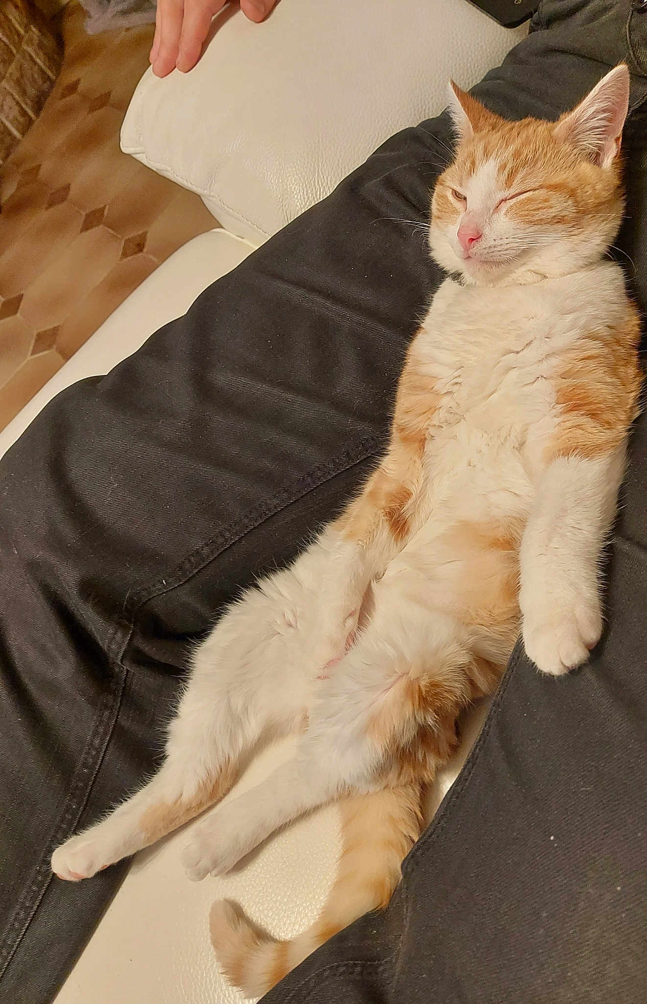 Doudou