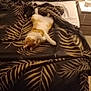 Roudoudou participe au concours pour gagner de l'argent avec cette photo : cat, bed, blanket, pillow, lamp, indoor, sleeping, orange_cat, white_cat, leaf_pattern, furniture, cozy, resting, domestic_animal, home, bedroom, decor, soft_lighting, relaxing, pet
