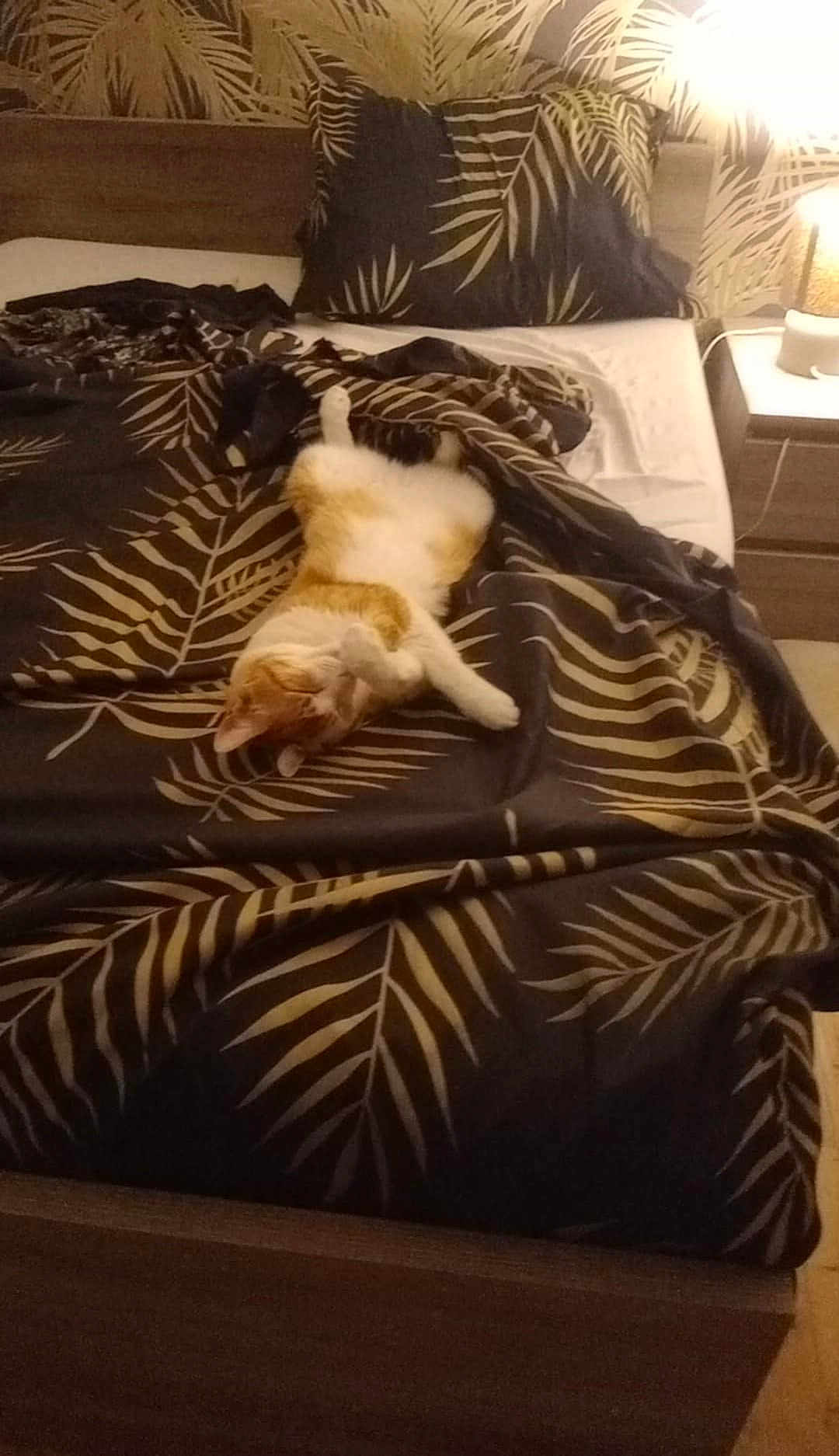 Roudoudou