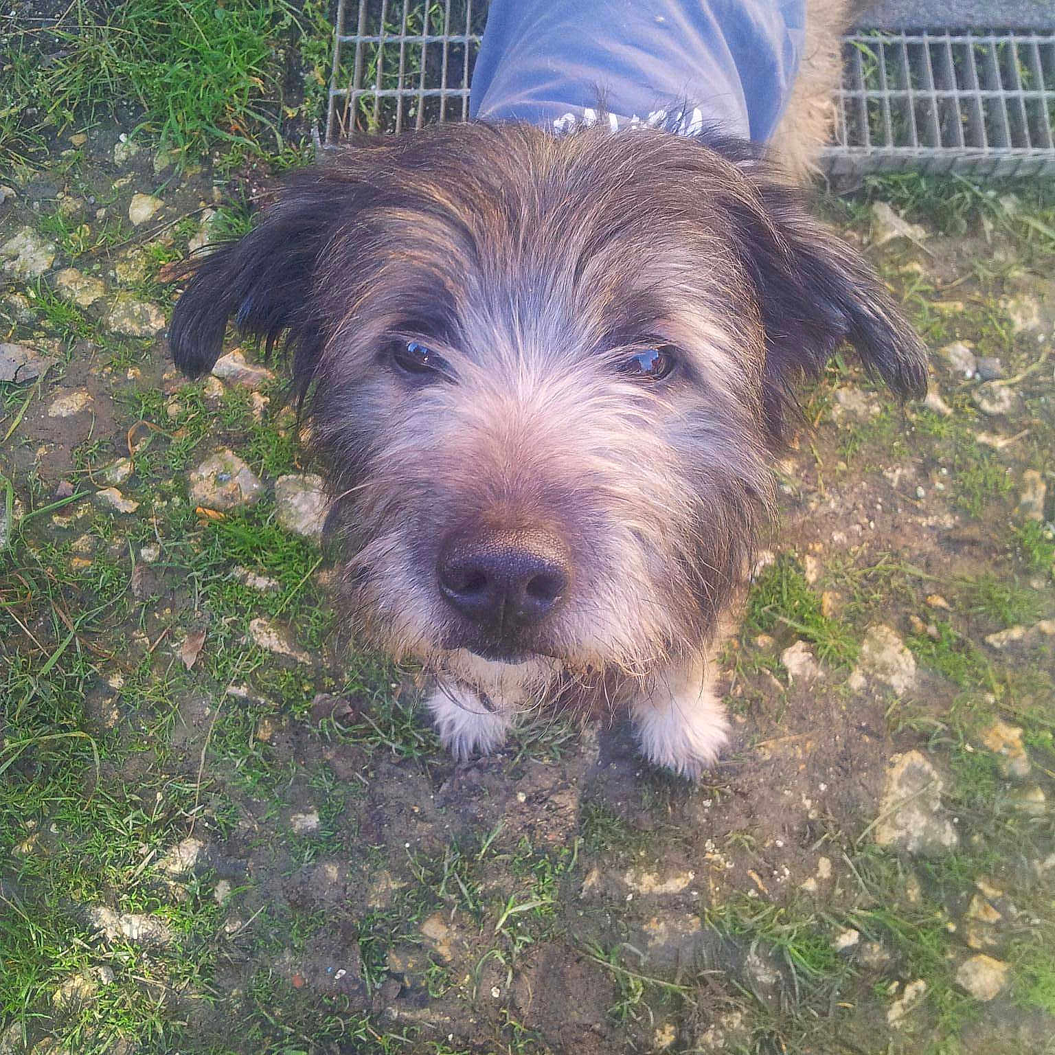 Doudou