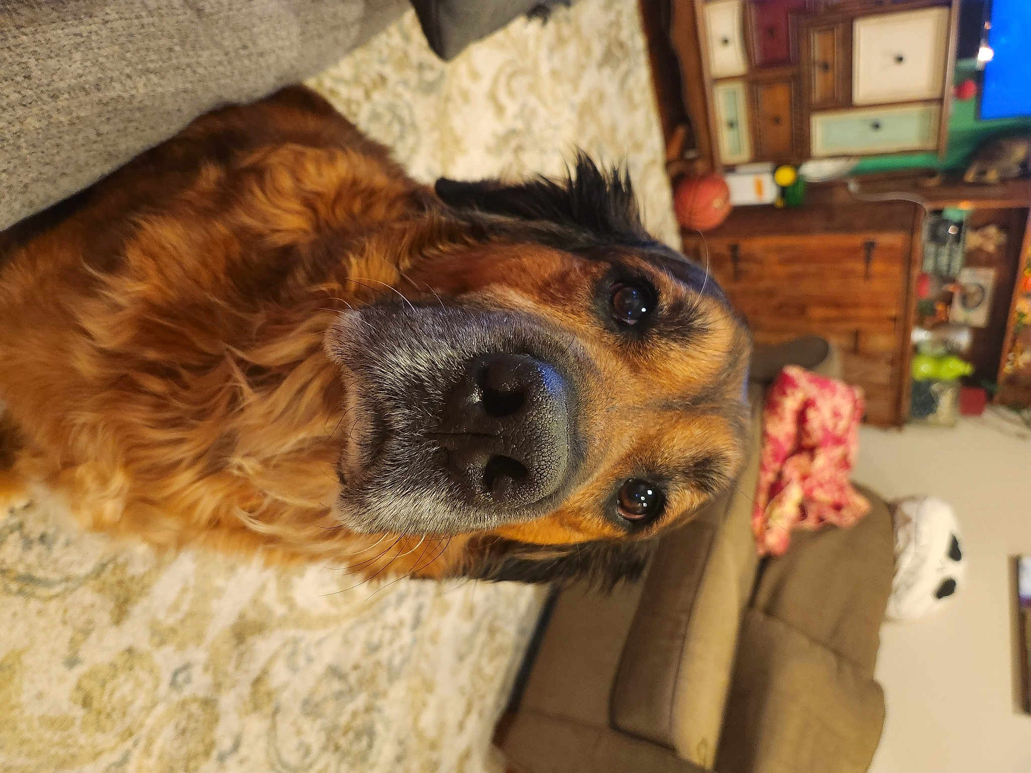 Fred
