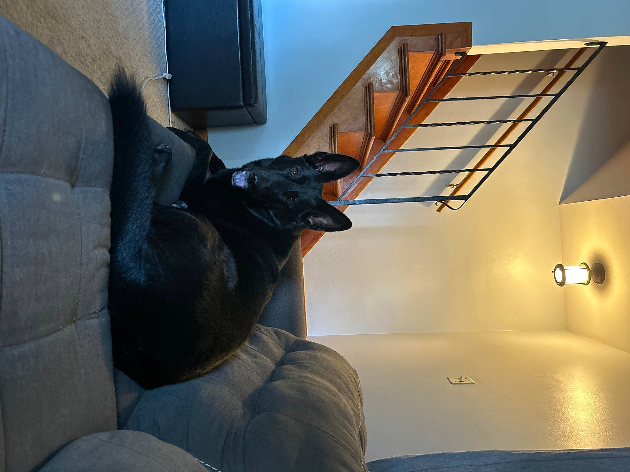 Hank joined the competition — help win amazing prizes! art, automotive_design, building, ceiling, comfort, daylighting, flooring, house, human_leg, light_fixture, lighting_accessory, metal, room, sculpture, shadow, stairs, tints_and_shades, window, wood