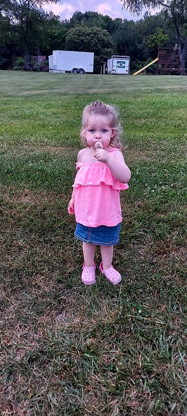 Haylee joined the competition — help win amazing prizes! baby, baby_toddler_clothing, child, fun, garden, gesture, grass, grass_family, grassland, lawn, magenta, meadow, people_in_nature, person, pink, plant, recreation, soil, toddler, tree