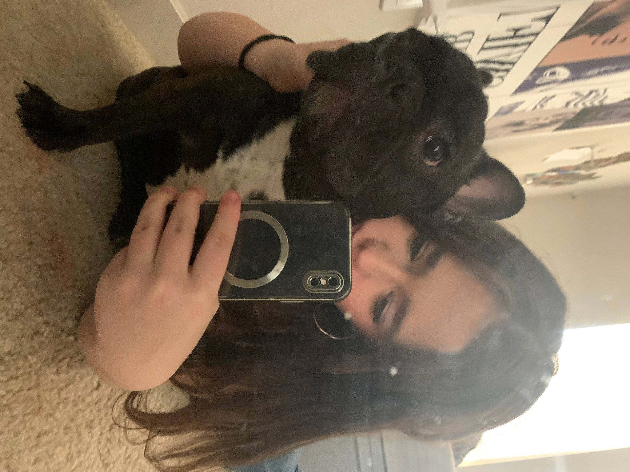 Rocky is registered to the contest to win money with this photo: cameras_optics, canidae, comfort, companion_dog, dog_breed, ear, eyelash, eyewear, felidae, fun, fur, gesture, nail, personal_protective_equipment, selfie, small_to_medium_sized_cats, sporting_group, tail, whiskers, wrist