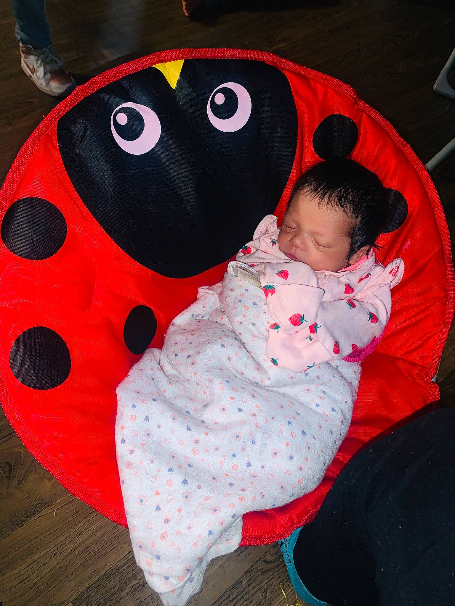 Isabell is registered to the contest to win money with this photo: baby, child, ladybug, person, red, toddler