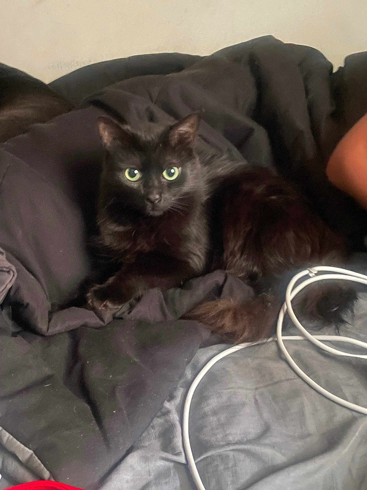 Onyx