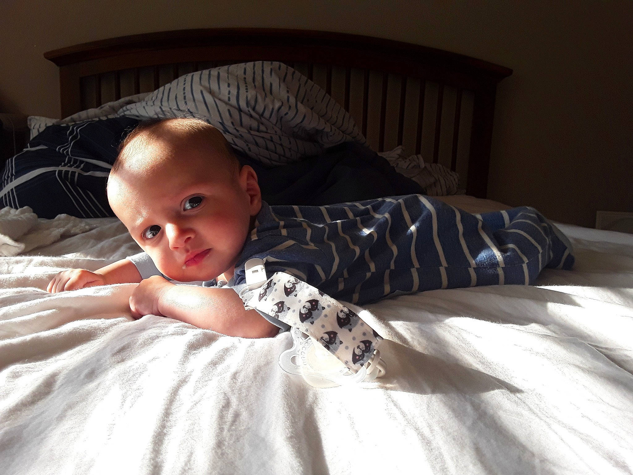 Apollo is registered to the contest to win money with this photo: baby, bed, bed_sheet, bedding, bedtime, cheek, child, comfort, eye, furniture, linens, person, room, skin, textile, toddler