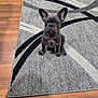 Simon joined the competition — help win amazing prizes! dog, french_bulldog, puppy, indoor, rug, toy, wooden_floor, pet, sitting, alert, animal, cute, companion, domestic, canine, flooring, patterned_rug, household, playful, gray_dog