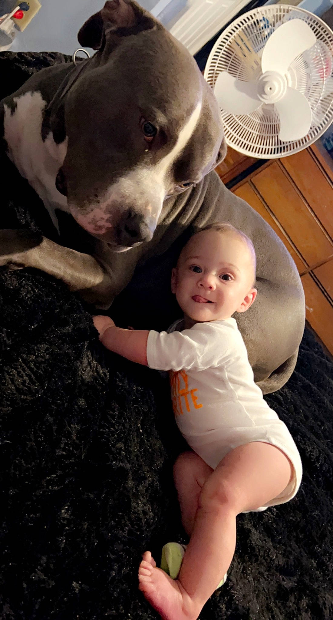 Dallas is registered to the contest to win money with this photo: baby, baby_toddler_clothing, barefoot, beauty, black, carnivore, companion_dog, dog, foot, happy, human_leg, knee, mammal, mechanical_fan, organ, person, plate, smile, tableware, thigh