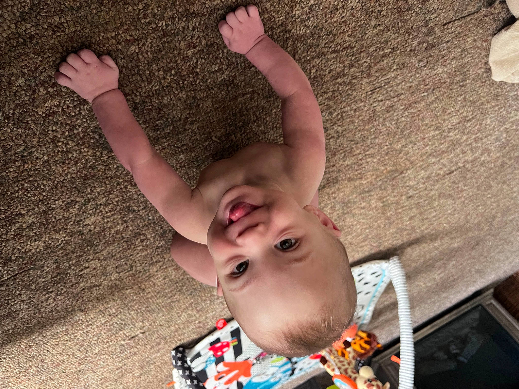 Dallas joined the competition — help win amazing prizes! baby, baby_toddler_clothing, cheek, eye, face, fun, gesture, grass, happy, head, human_body, mammal, mouth, nose, people, person, plant, skin, smile, toddler