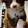 Jax