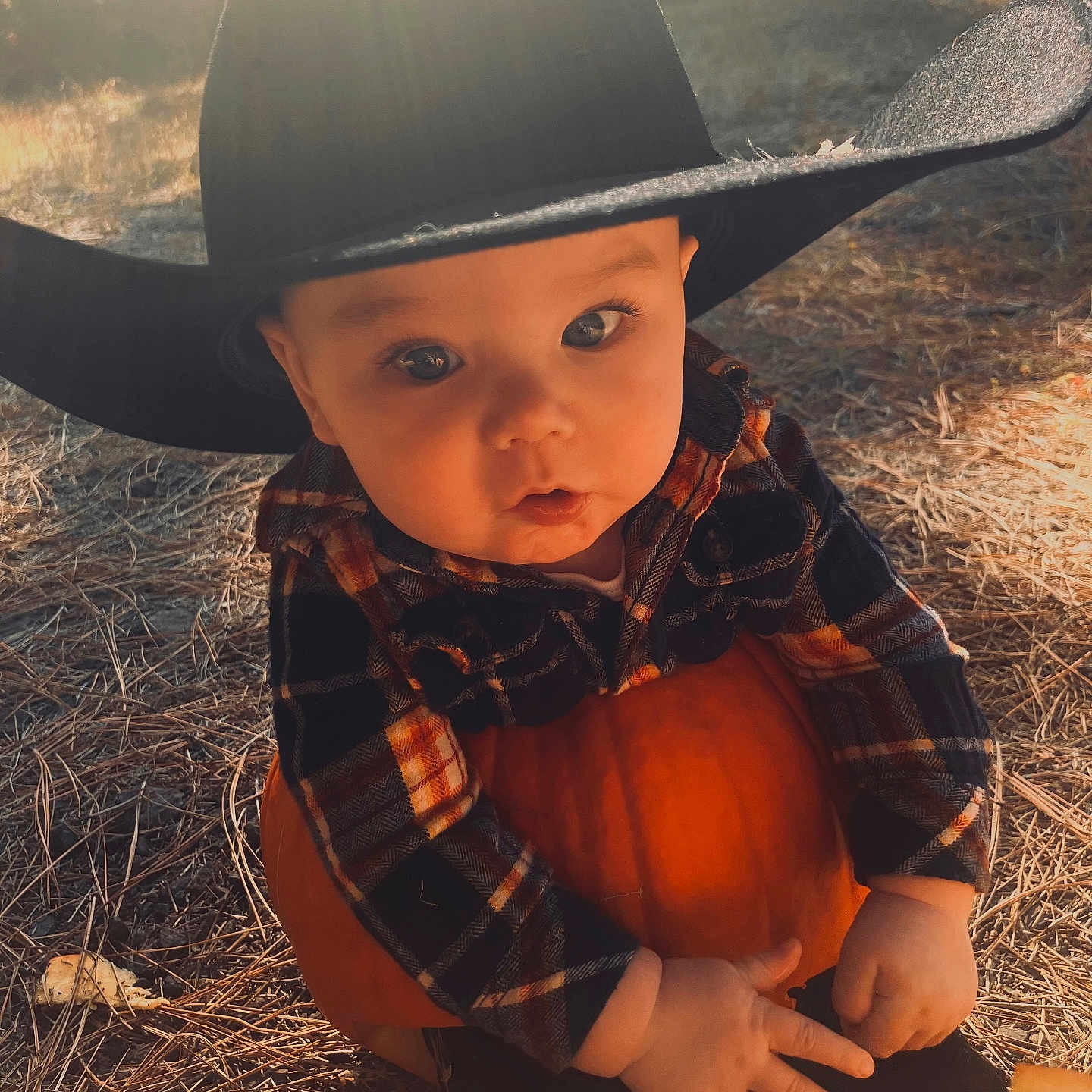 Rhyott is registered to the contest to win money with this photo: autumn, baby, child, cowboy_hat, cute, daylight, fall, grass, hands, hat, nature, outdoor, person, plaid_shirt, portrait, pumpkin, seasonal, sitting, sunlight, young_child