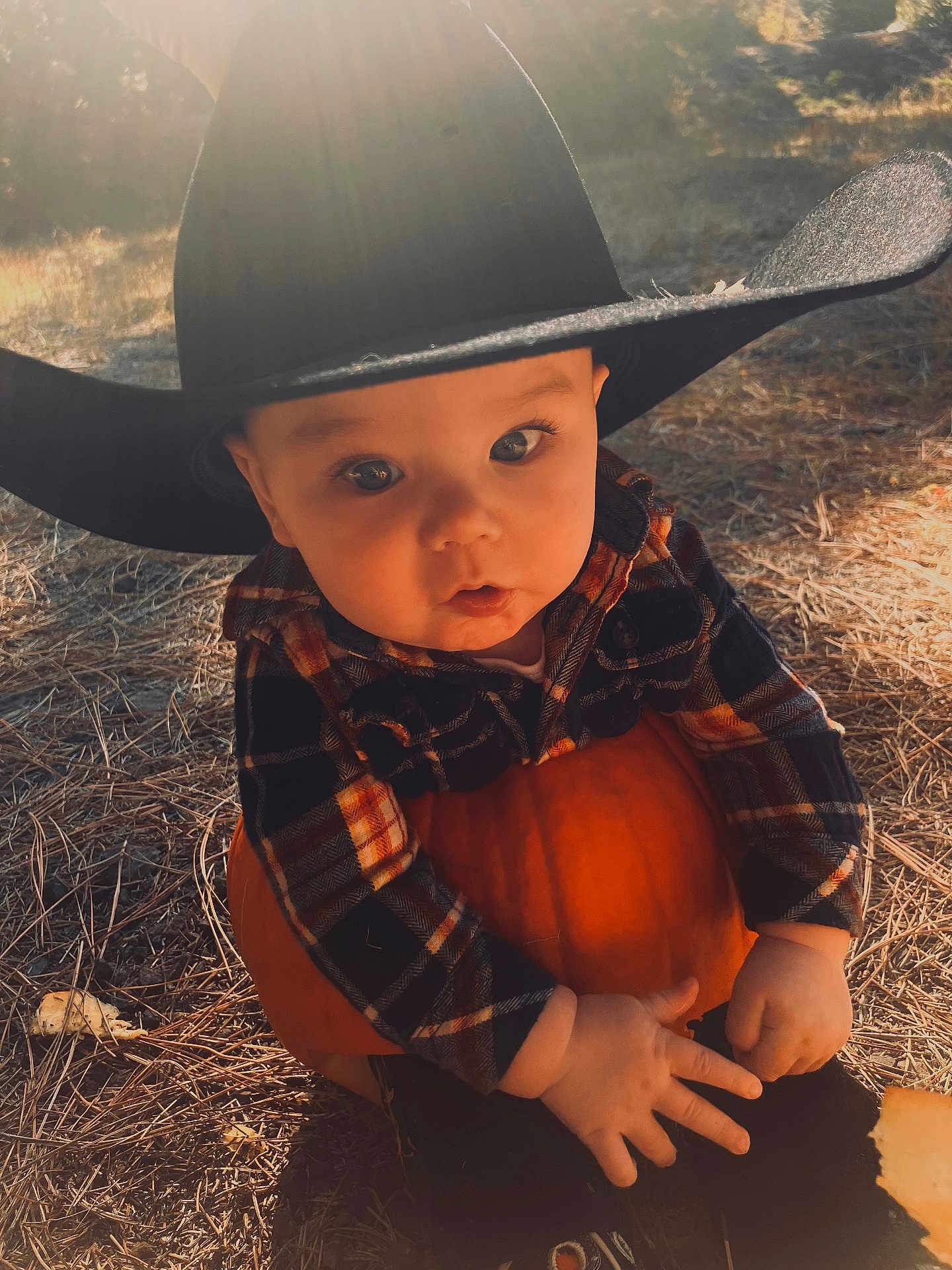 Rhyott is registered to the contest to win money with this photo: baby, child, cowboy_hat, pumpkin, plaid_shirt, outdoor, autumn, sunlight, nature, fall, grass, hands, cute, portrait, hat, person, seasonal, young_child, sitting, daylight