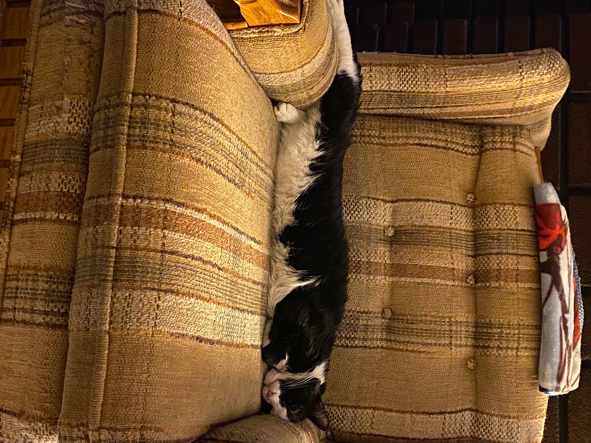 Whiskers is registered to the contest to win money with this photo: beige, brown, fashion_accessory, fashion_design, fur, human_body, human_leg, leather, metal, outerwear, pattern, peach, personal_protective_equipment, sleeve, thread, tints_and_shades, wood, wool, woolen, woven_fabric