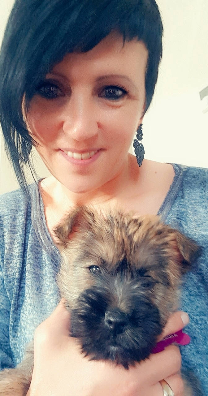 Braxton a rejoint le concours — aidez-le/la à gagner de superbes lots ! cairn_terrier, canidae, carnivore, companion_dog, dog, dog_breed, ear, hair, maltepoo, mammal, morkie, norfolk_terrier, puppy, puppy_love, schnoodle, selfie, shih_tzu, skin, small_terrier, terrier