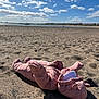Lottie joined the competition — help win amazing prizes! baby, beach, sand, snowsuit, pink, clouds, sky, water, sunny, outdoor, child, winter_clothing, lying_down, coast, nature, seaside, infant, cold_weather, relaxation, daylight