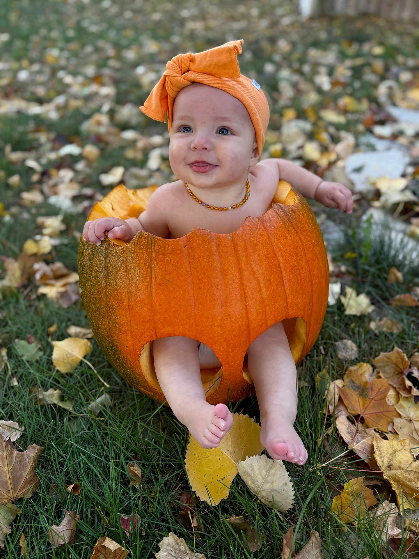 Soli Rae is registered to the contest to win money with this photo: baby, child, pumpkin, orange, headwrap, necklace, autumn, fall_leaves, grass, outdoor, cute, smiling, sitting, nature, seasonal, holiday, harvest, portrait, young, playful