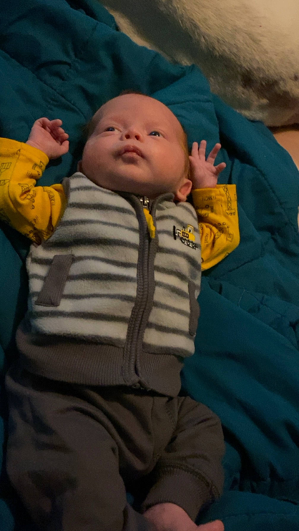 Kolton joined the competition — help win amazing prizes! baby, baby_products, baby_toddler_clothing, cheek, child, comfort, eye, fun, gesture, grass, happy, jacket, mouth, nose, person, rock, sitting, skin, toddler, tree